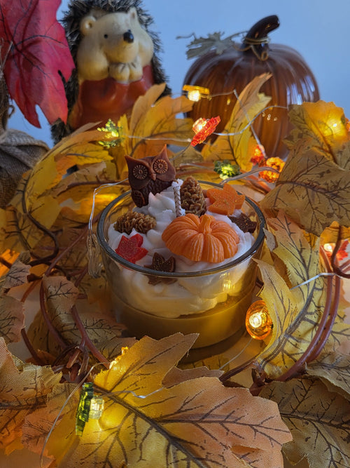 Autumn Owl & Pumpkin Jar Candle